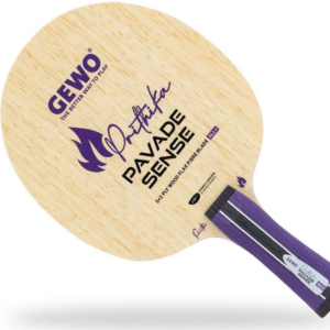 GEWO Prithika Pavade Sense All+ Master ( PRE ORDER) – Purple